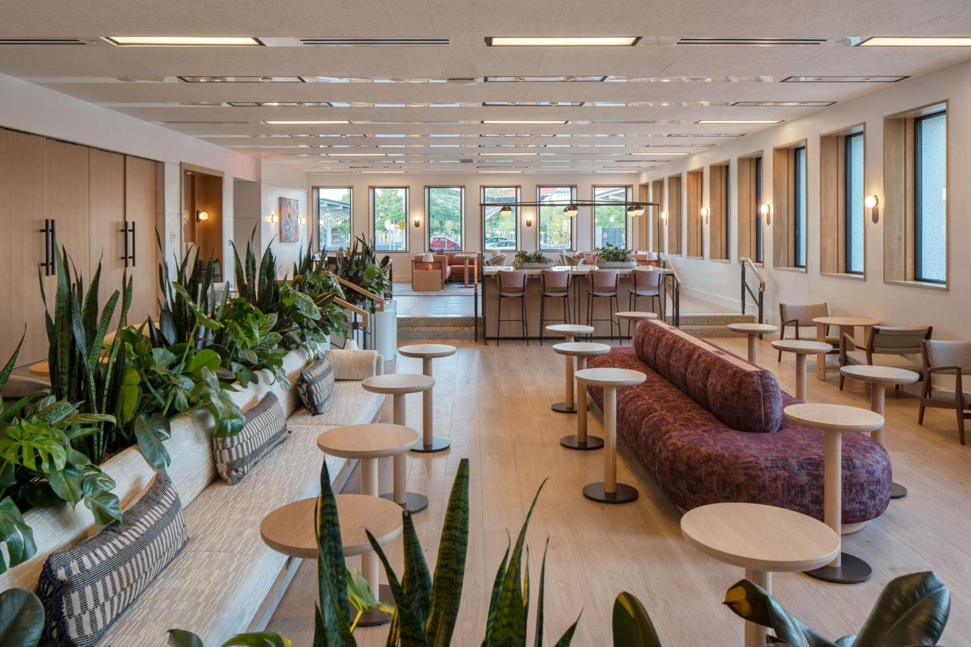 Hotel Marcel New Haven, Tapestry Collection By Hilton エクステリア 写真